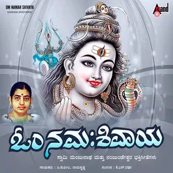 Nanjundeshwara Nelasida